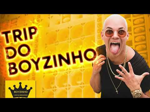 Trip do Boyzinho - Boyzinho o Rei da Bregadeira (Áudio Oficial) 