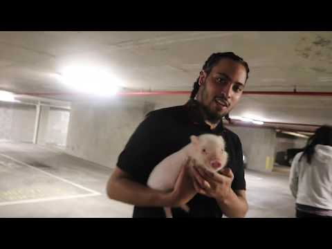 K Cuzz - (16  Bars In Miami)