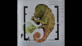 Front Line Assembly - Autoerotic