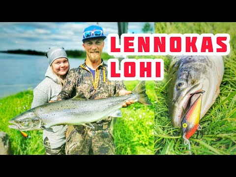 Lohensoutua Muonionjoella 2021- hyppivän lohen väsyttelyä!
