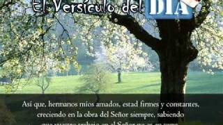 Miniatura del video: El versiculo del dia .com - 1 Corintios 15 v58