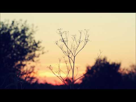 Poor Fractured Atlas - Elvis Costello