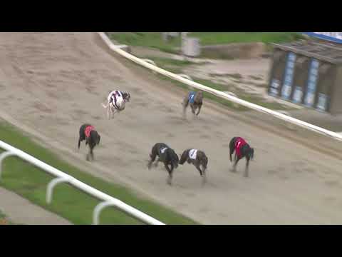 2021 CORAL REGENCY - 3RD SEMI - T4 COLD AS ICE