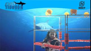 DIA 2 Expo Tiburon192