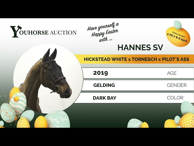 Hannes qualification bundes championat 6 years old