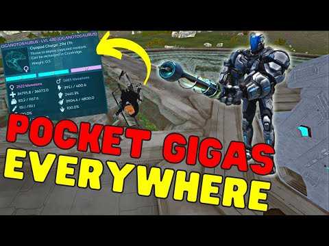 Fresh Starting Again But I Live Off the Loot | Ark Solo Small Tribes