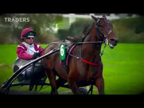 #Critérium Continental - Un Favori, Traders