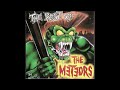 18-The Meteors-Swamp Thing