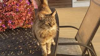 Sunrise Motivation Real Secrets of Success Talk Part 1