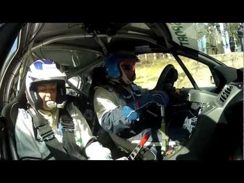 Ronde dei Leoni 2013_ Vicario - Andreussi Peugeot 206 WRC