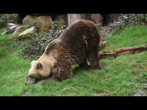 Moment der Woche KW 13 | DARIA knackt Nüsse