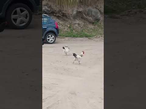 Las Juntas Catamarca