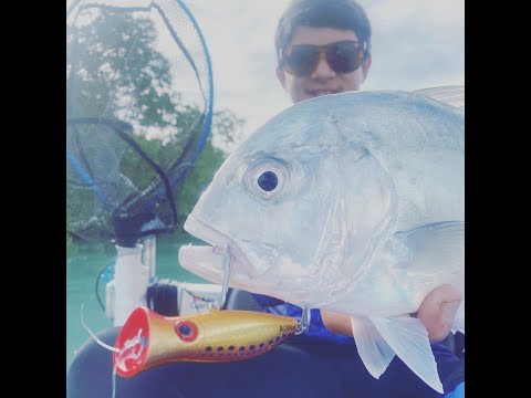 Kayak Session. LIGHT TACKLE GT ACTION! Whitsundays. Ep13