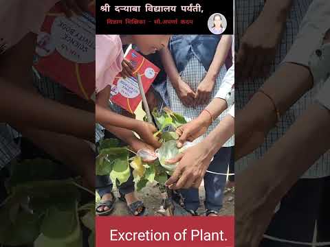 विद्यार्थी स्वतः प्रॅक्टिकल करताना