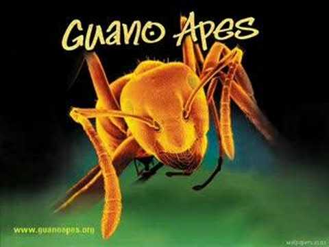 Guano Apes- Open Your Eyes W/lyrics