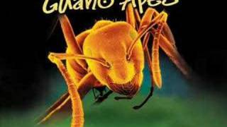 Guano Apes - Open Your Eyes video