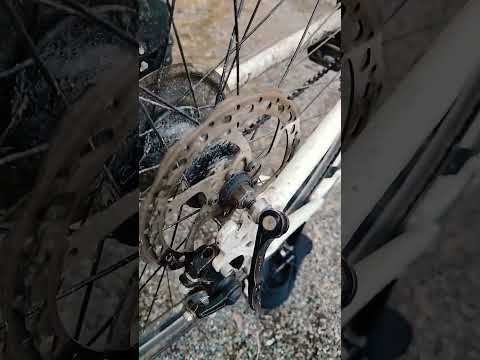 kuka on sapotoinut pyörää