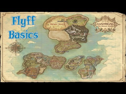 Flyff BASICS - Die Welt von Madrigal, Steuerung und das Glossar