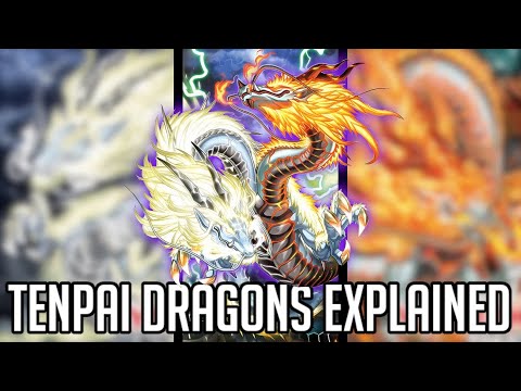 Want To Casually Do 30,000 Damage? [Yu-Gi-Oh! Archetypes Explained] [Tenpai Dragon]