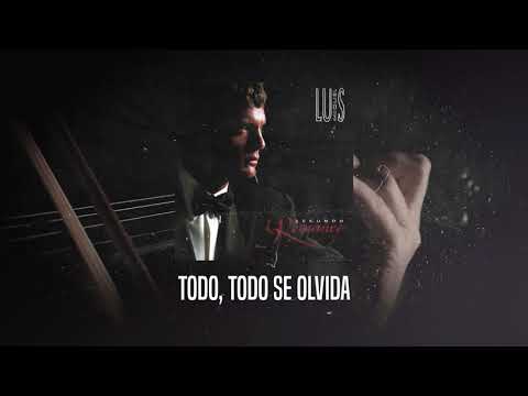 Luis Miguel - El Día Que Me Quieras (Video Con Letra)