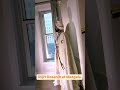 Diljit Dosanjh At Metgala International Fashion Show USA Bollywood Arrahman Diljitdosanjh
