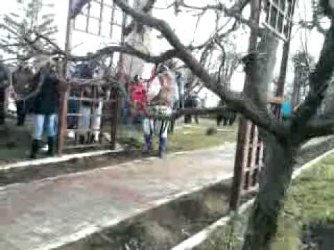 Mascatii helesteni 2012