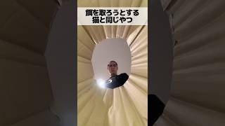 餌を取ろうとする猫と同じやつ