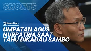 Agus Nurpatria Kecewa Sampai Mengumpat karena Merasa Dibohongi oleh Ferdy Sambo