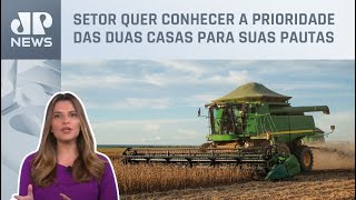 Kellen Severo: Eleições no Congresso estão na mira do agro