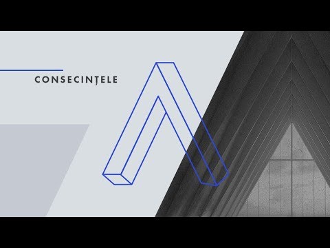 Cristian Barbosu - Consecinţele - Iliada - Provocările Verticalității