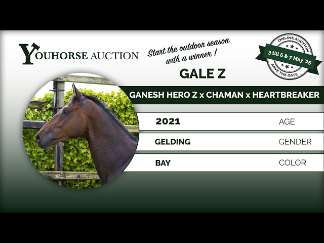 Gale Z