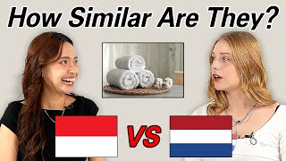 Indonesain VS Dutch l Can They Understand Each Other?