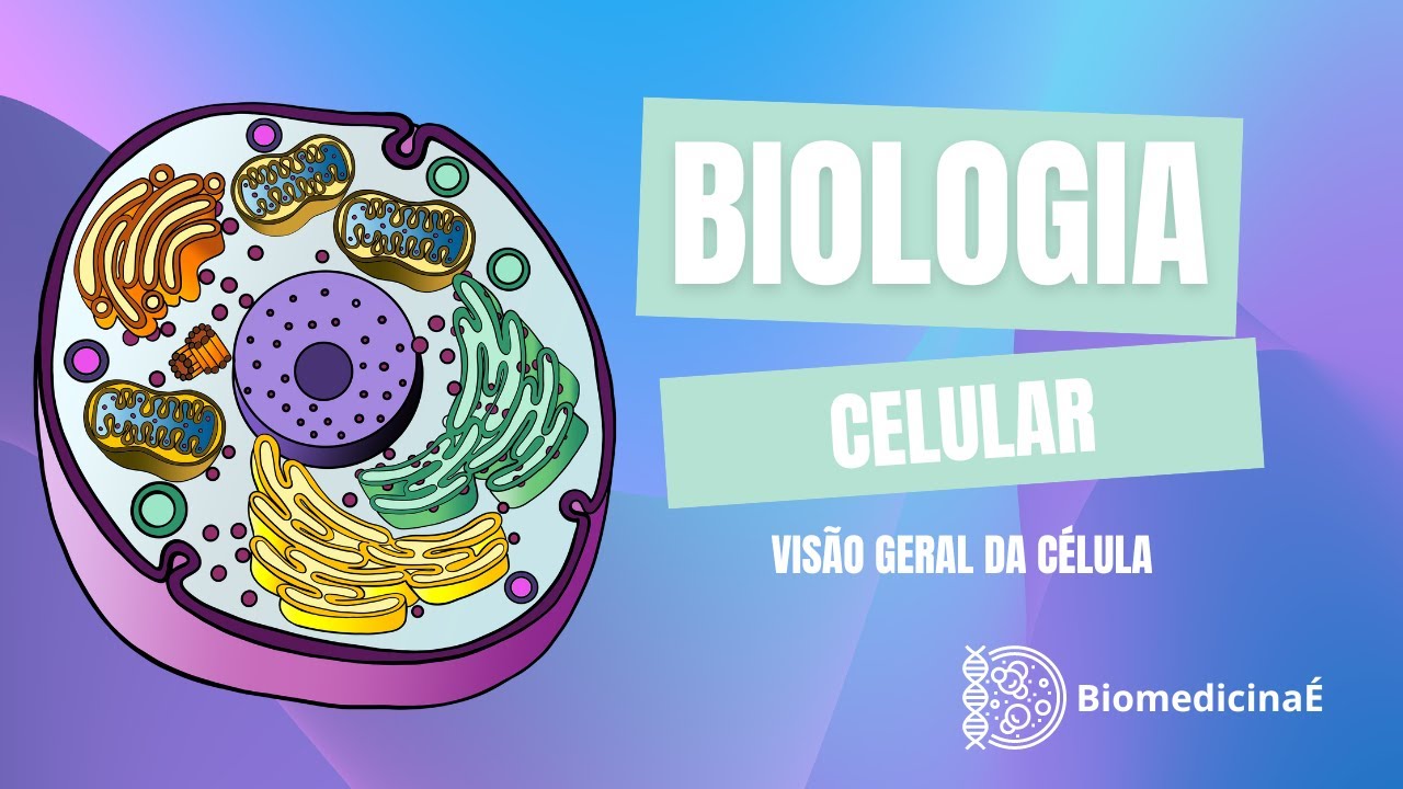 VISÃO GERAL DA CÉLULA: Biologia Celular/Citologia (aula 01)