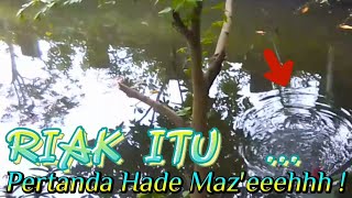 Download lagu EFFECT LATAH ❗ EMAK-EMAK RIWEUH NENTUIN SPOT MANCING YANG AMAN & NYAMAN 👍😂 @wahyupetualang9973 mp3