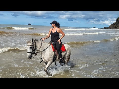 Training a horse to love the beach! #travelingchef #nicaragua. Getting there. #youtubechannel #beta