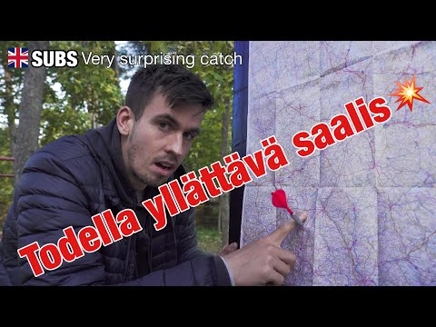 TIKKAHAASTE - Kalastetaan siellä minne tikka laskeutuu