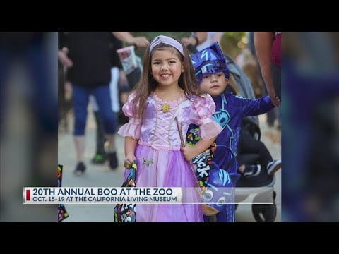 20th annual 'Boo at the Zoo' set for Oct. 15-19 - YouTube