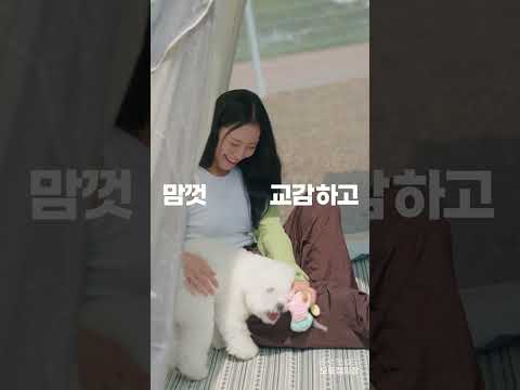 반려동물 동반 여행 어디 갈 곳 없나? #여행 #국내여행