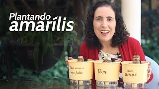 Vídeo sobre o produto