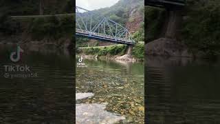 お分かり頂けただろうか…[ホラーTikTok]