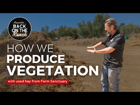 Boost Soil & Plants Fast: Hay & Compost Tea Method