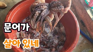 20년 만의 여름휴가 고흥! 멀지만 가볼만한곳