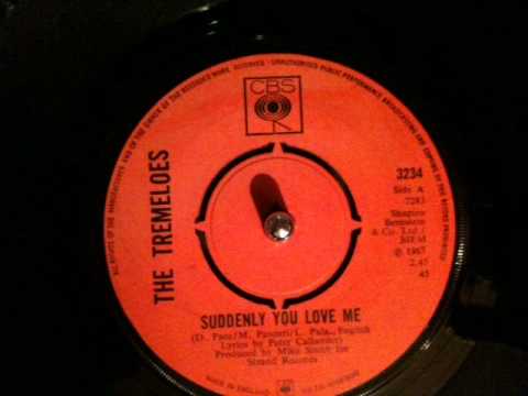 Tremeloes - suddenly you love me