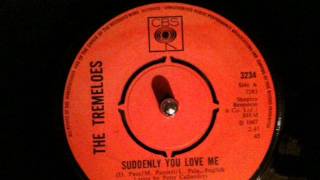 Tremeloes - suddenly you love me