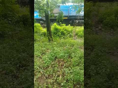 trenes Argentinos cargas 9740 detenida en km 1209 Calilegua Jujuy
