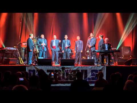 Klapa Dalmari - Ružo moja crvena