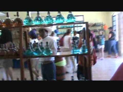 Carnival Conquest Feb 20-27 ,2011