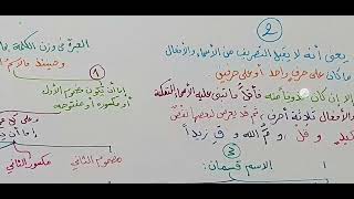 شرح ابن عقيل ( 915-919 ) 193 image