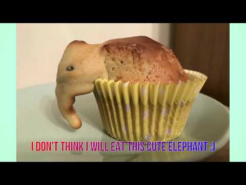 Pareidolia: Real Photos that will make you think