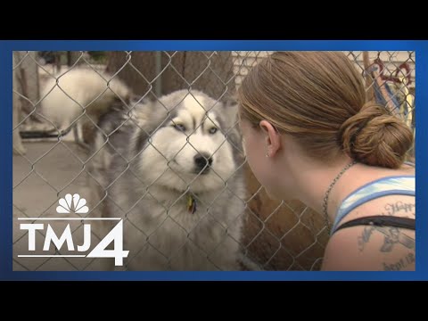 Rabies survivor encounters disease once again